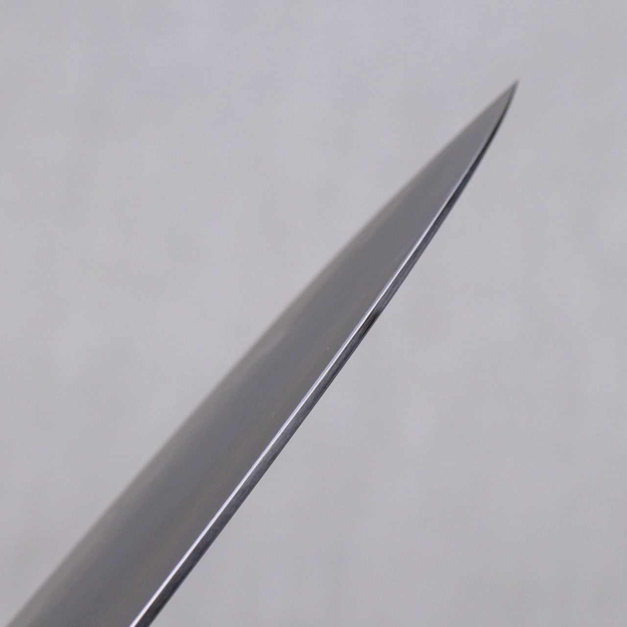 Sakai Shoryu Blue #1 Stainless Wa-Gyuto