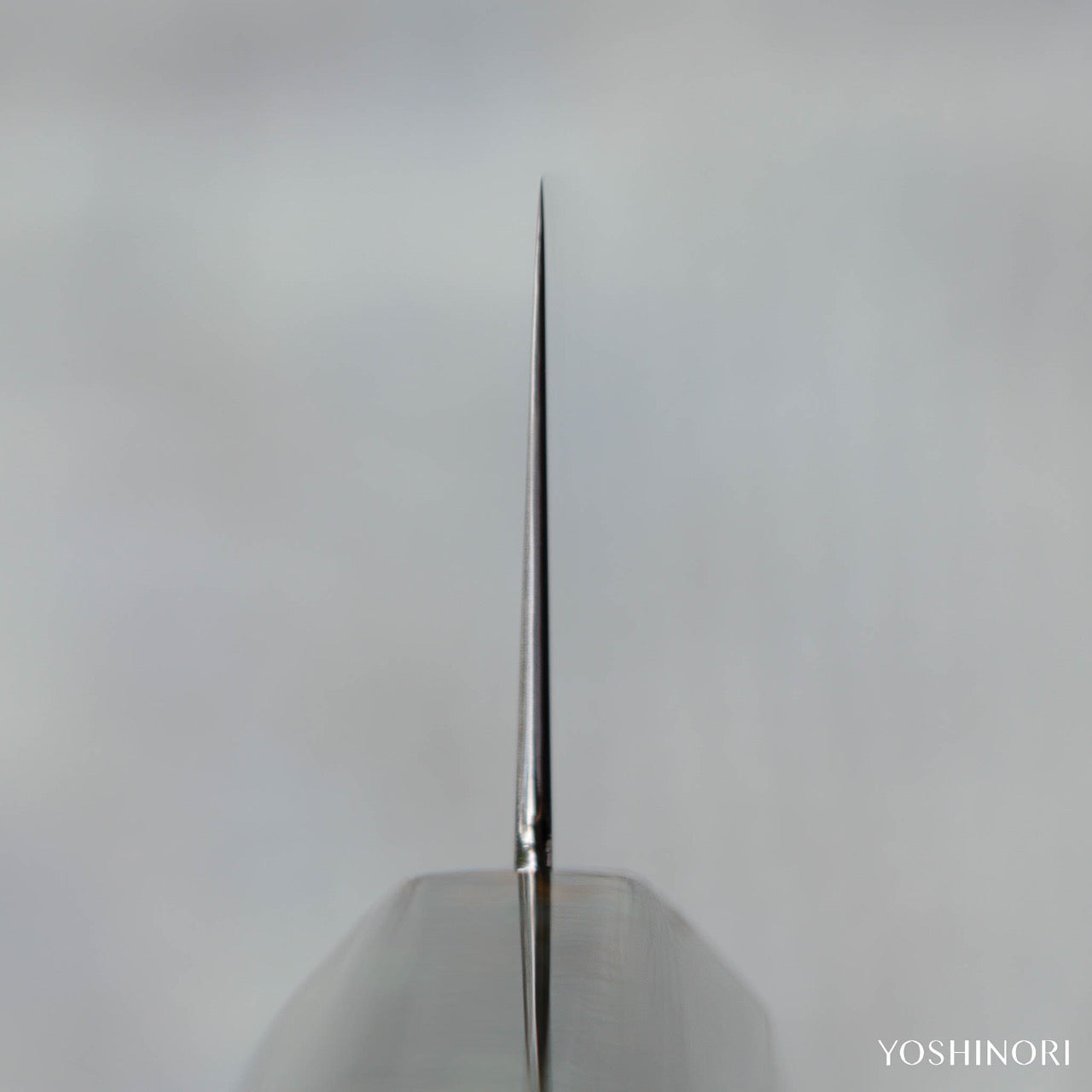 Konosuke Connoisseur Series 黒潮海龍 All-Steel Swedish Special Steel Wa-Gyuto