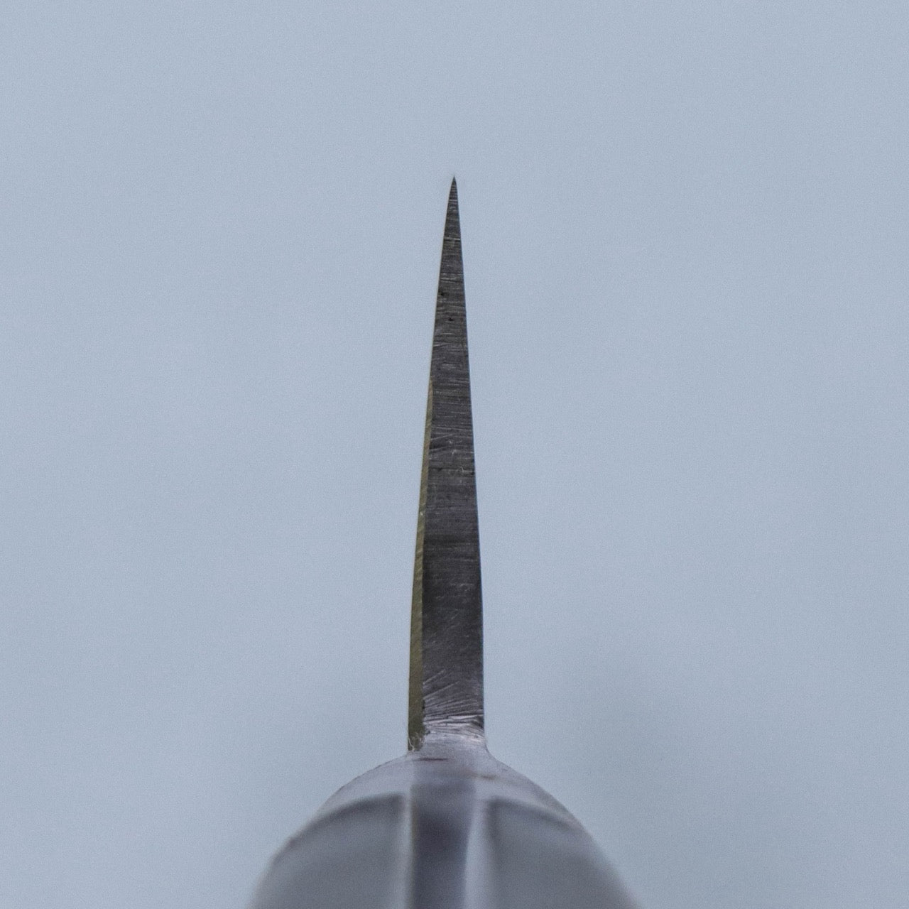 Yoshihiro High Carbon All-steel Double-bevel Deba (Thick-Edged Gyuto)