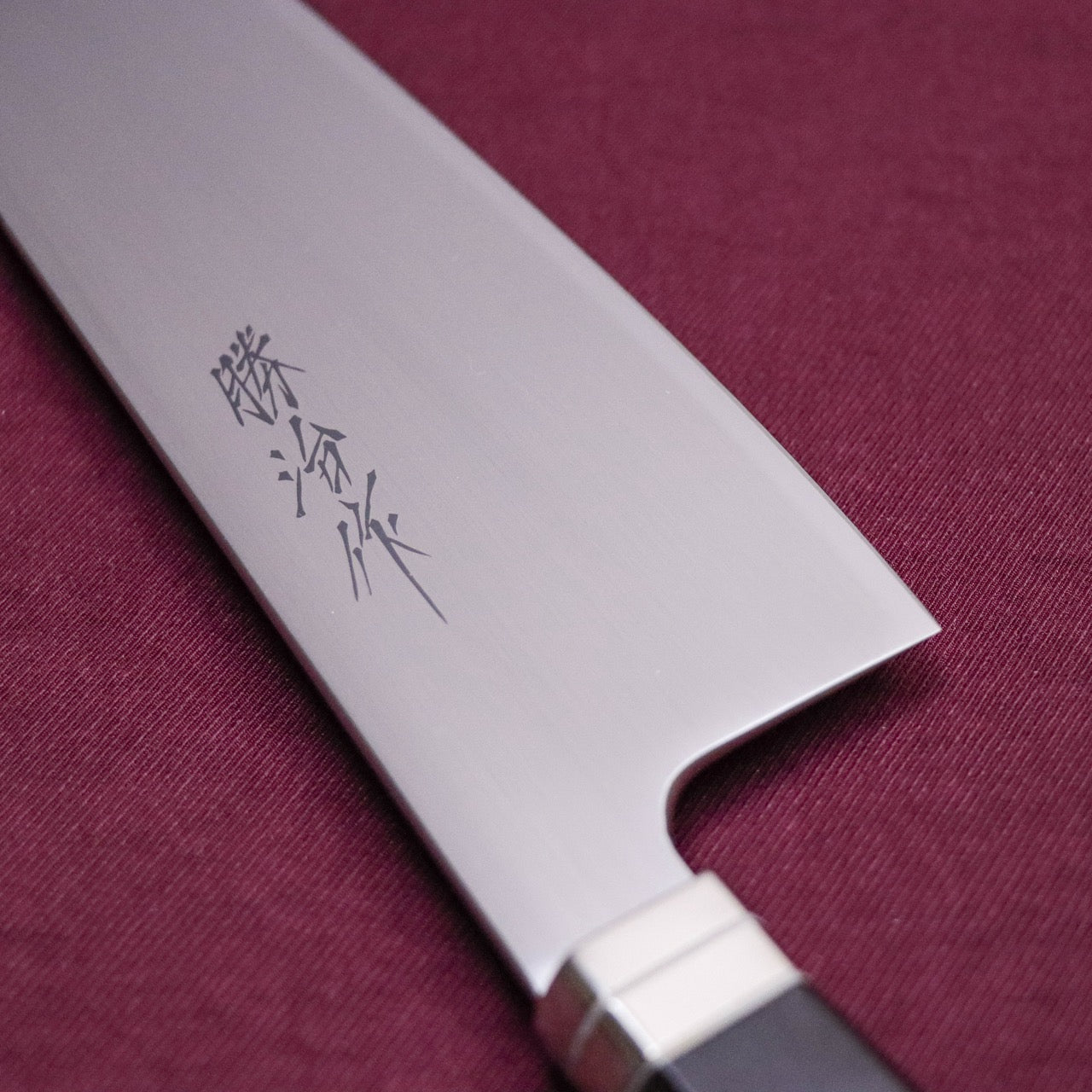 Shoji SW Special Stainless Steel Western Deba-Style Multi-Purpose Gyuto Western Ebony Handle