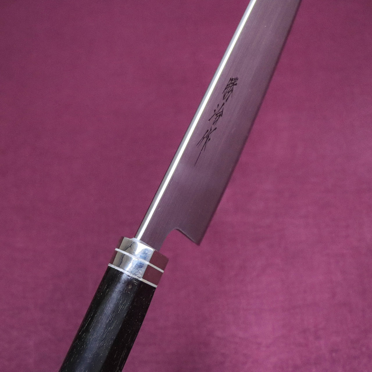Shoji SW Special Stainless Steel Western Deba-Style Multi-Purpose Gyuto Western Ebony Handle