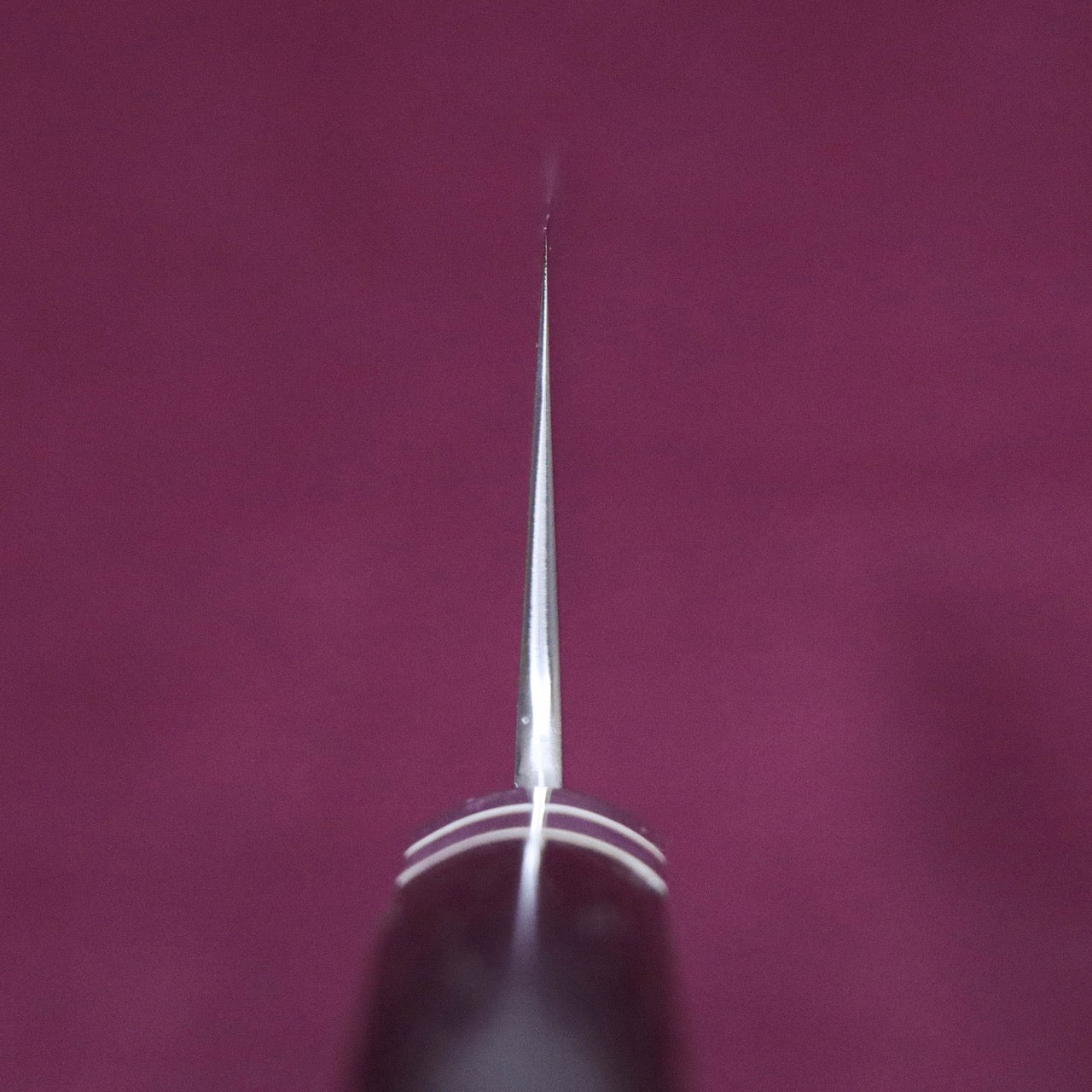 Shoji SW Special Stainless Steel Western Deba-Style Multi-Purpose Gyuto Western Ebony Handle