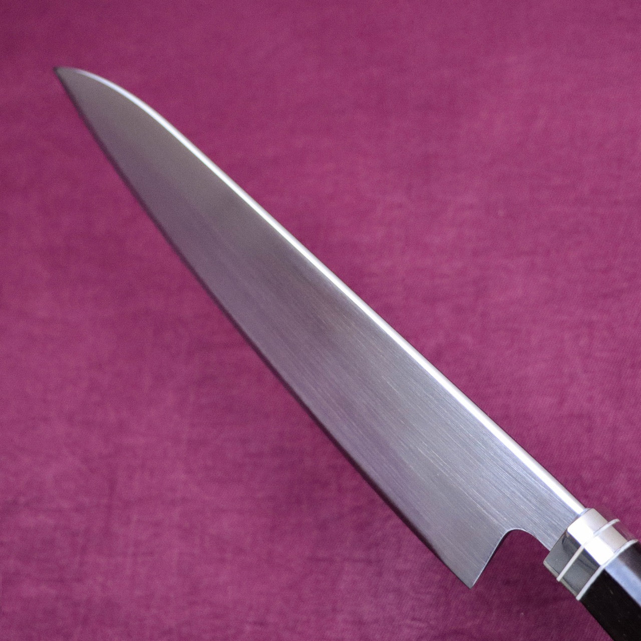 Shoji SW Special Stainless Steel Western Deba-Style Multi-Purpose Gyuto Western Ebony Handle