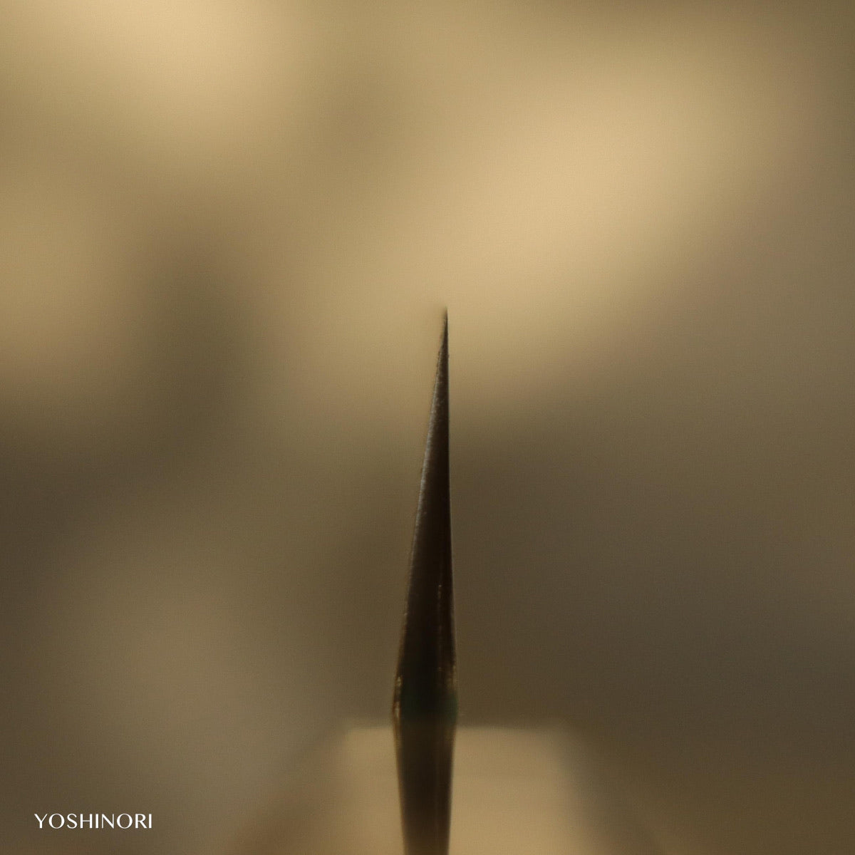 源昭忠 DX青二鋼 水本燒鏡面 「蛙子丁子刃紋」柳刃 付本漆金梨地塗鞘