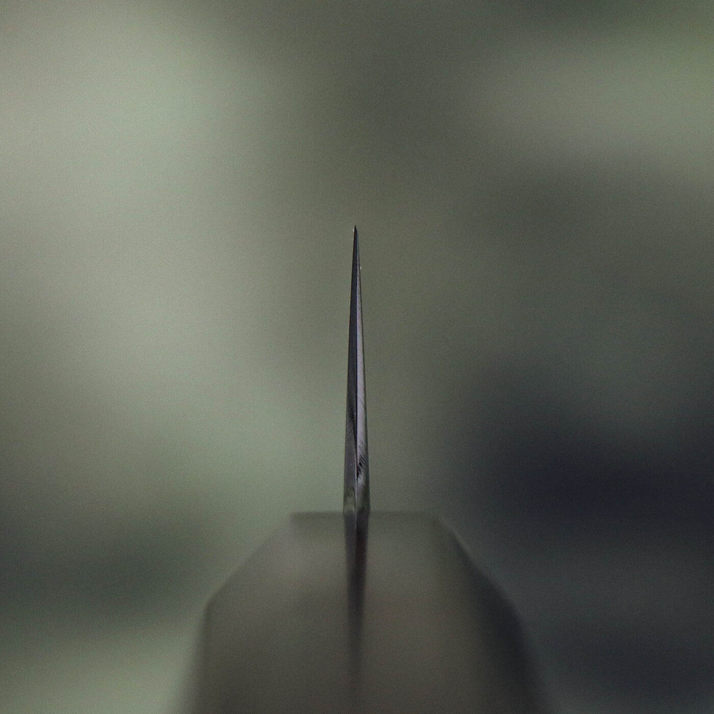 Sakai Shoryu V10 Swedish Powdered Steel Mirror Finish Honyaki Petty