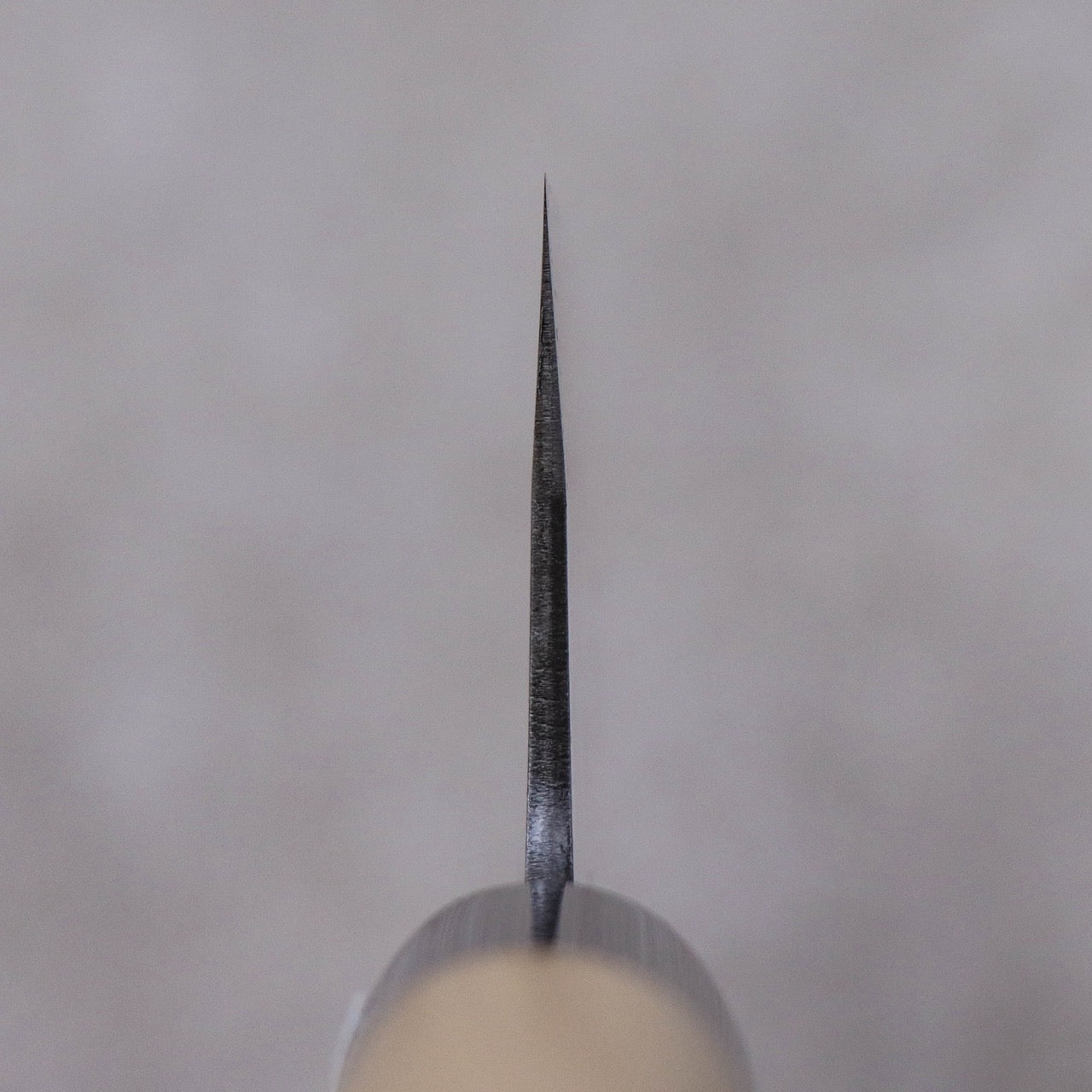 Ajikataya White #2 Stainless Clad Wa-Gyuto