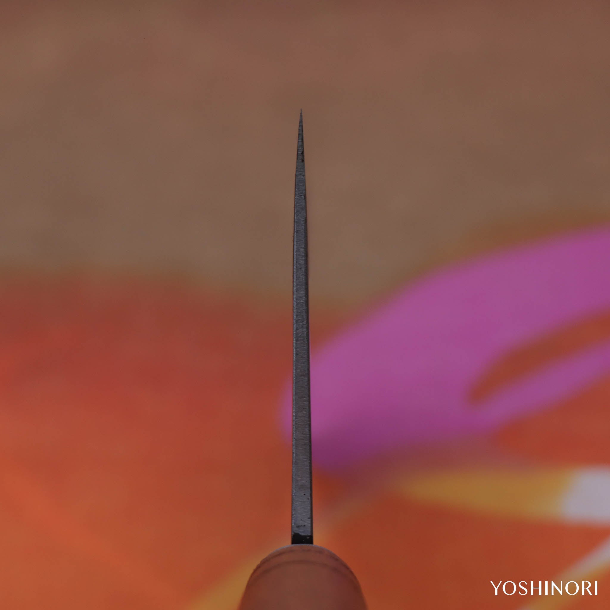 杉本 11號中華包丁