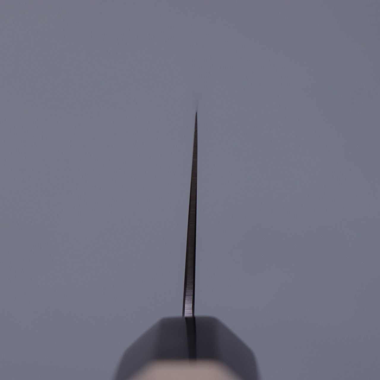 義弘作 VG1 全鋼 朴木和牛刀