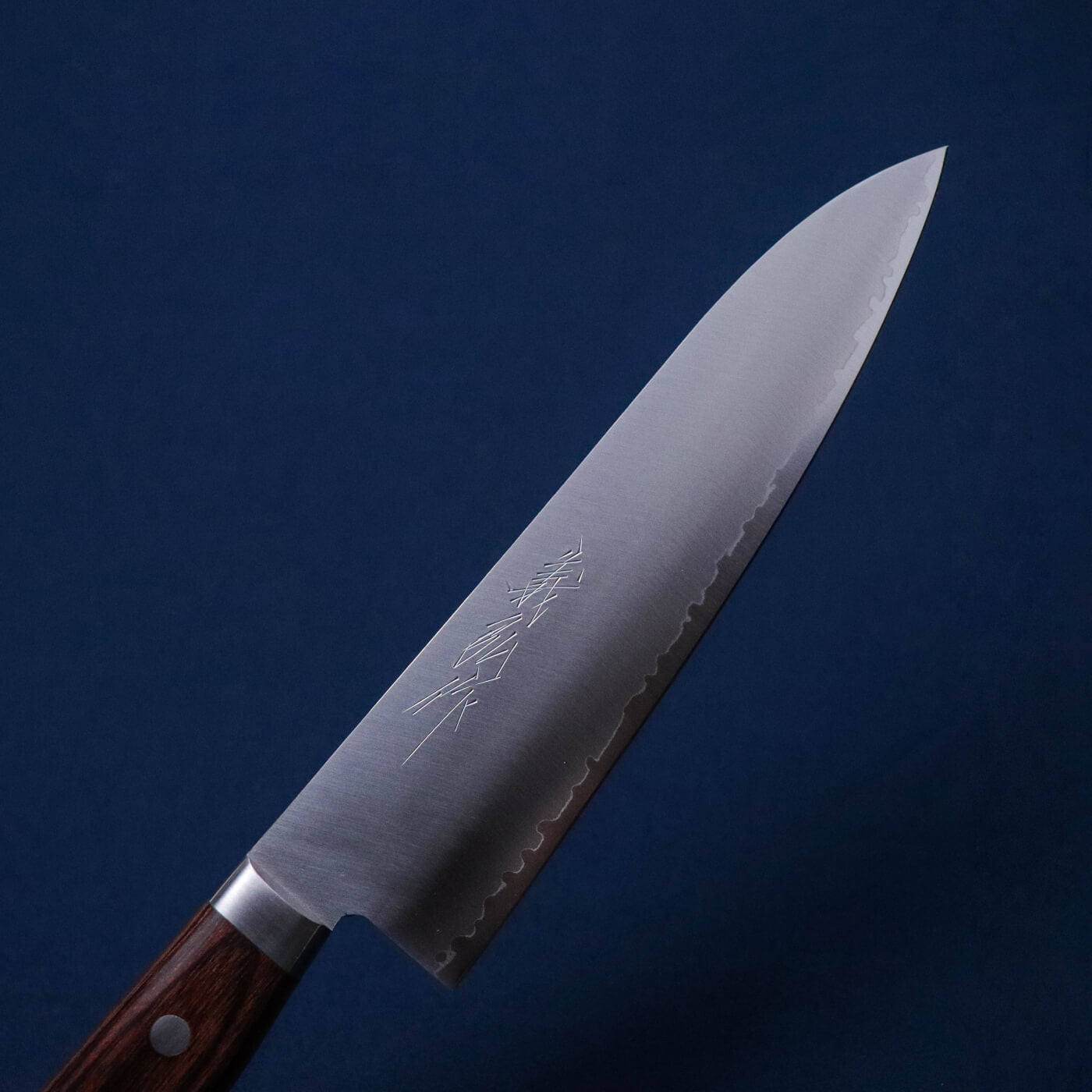 義弘作 VG1 刃口極薄刃研磨仕上 洋牛刀