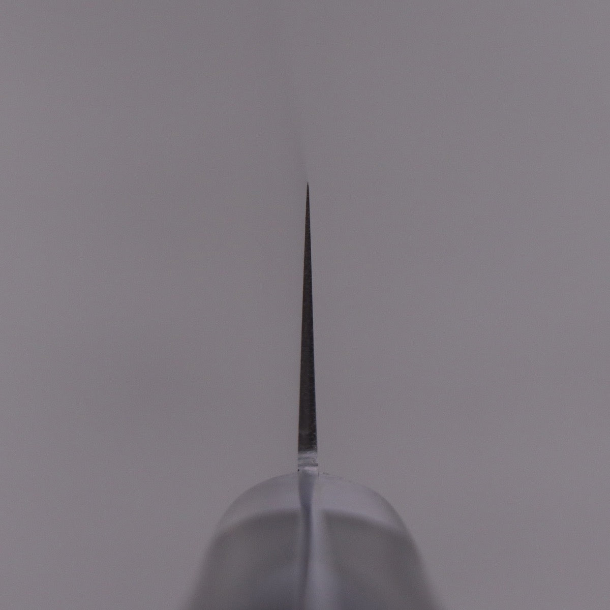 Konosuke SW Swedish Stainless All Steel Sujihiki